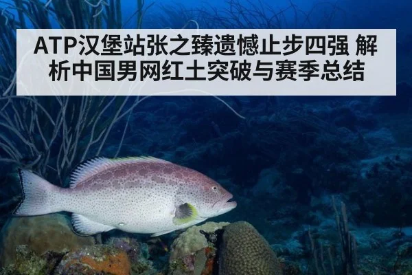 ATP汉堡站张之臻遗憾止步四强 解析中国男网红土突破与赛季总结 - jiuyou game