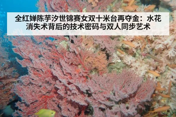 全红婵陈芋汐世锦赛女双十米台再夺金:水花消失术背后的技术密码与双人同步艺术