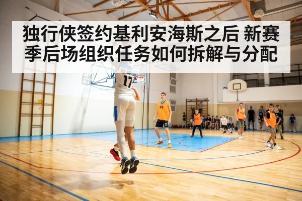 独行侠签约基利安海斯之后 新赛季后场组织任务如何拆解与分配